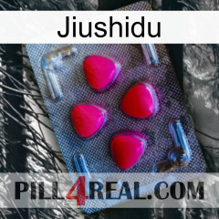 Jiushidu 13